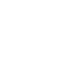 Wisel