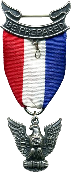 Eagle Scout Badge — BSA