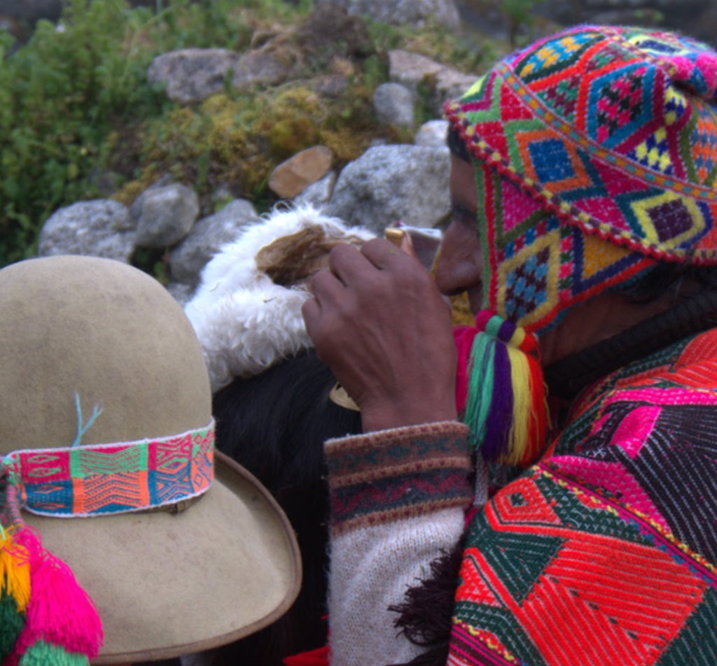 Q'ero healing ceremony