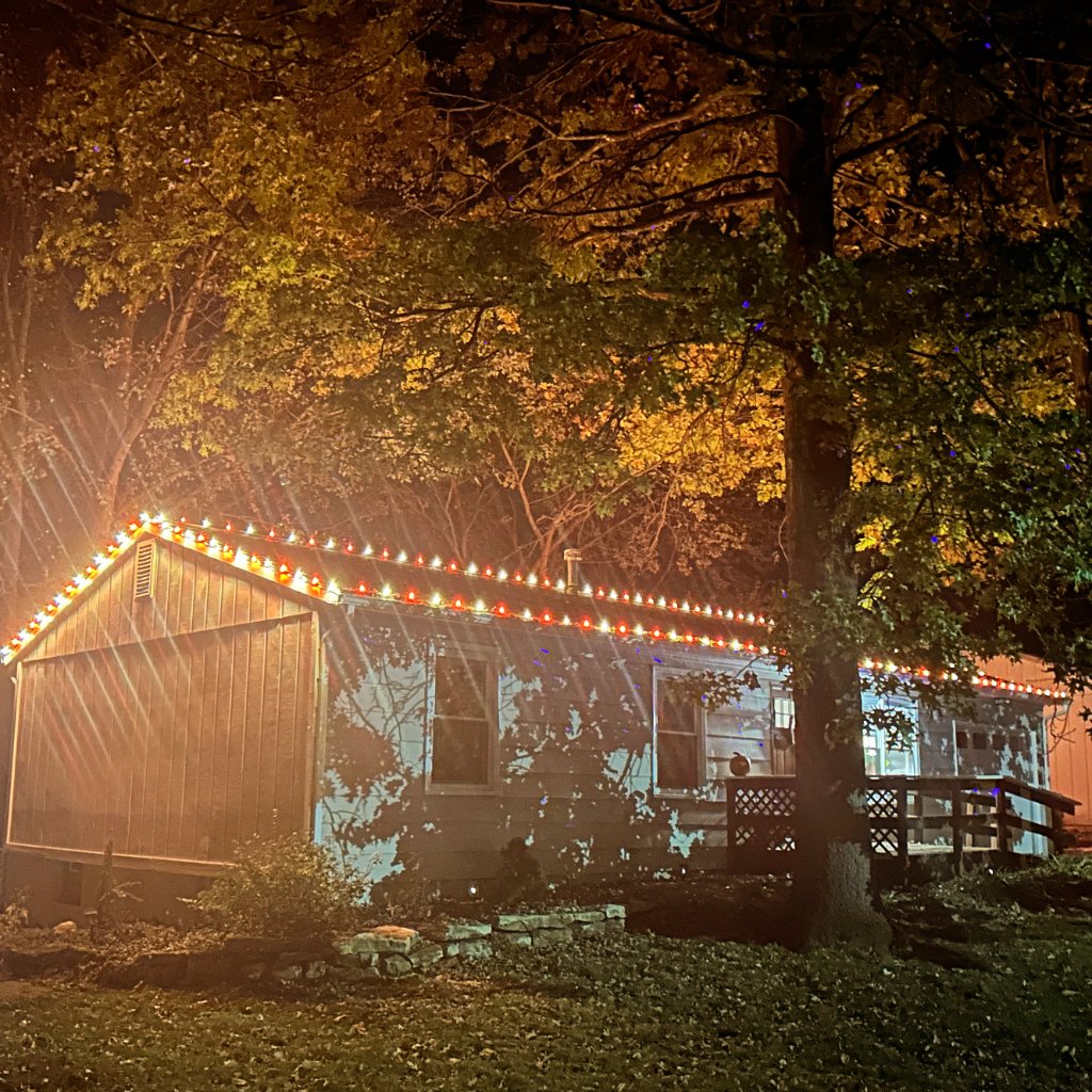 Warm White Cabin