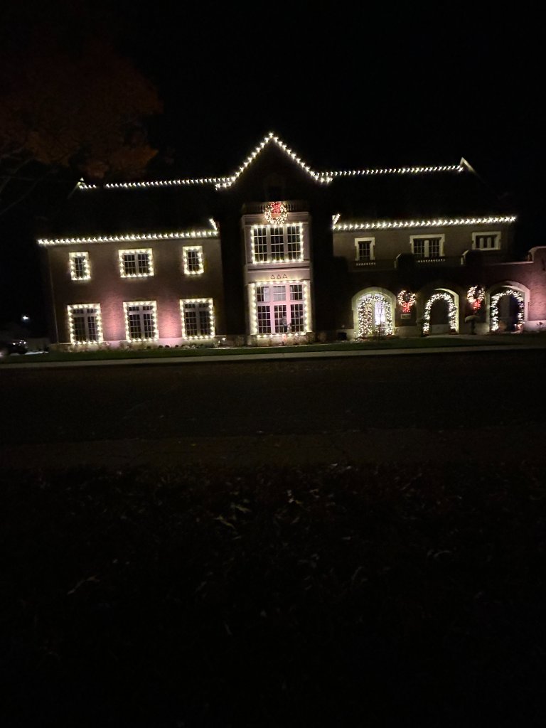 Warm White & Christmas Tree
