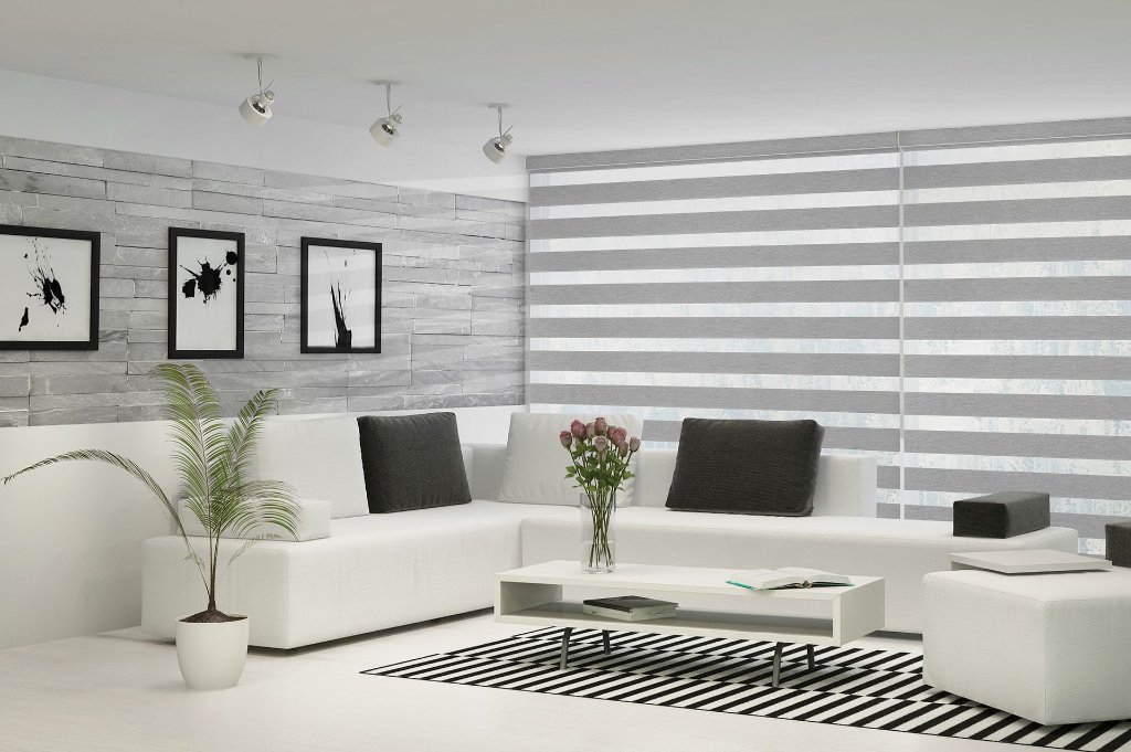 Dual & Zebra Shades