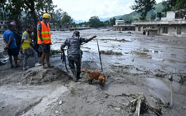 A rescue worker in camouflage walks a dog through mud while officials in high-visibility vests survey the flood damage.