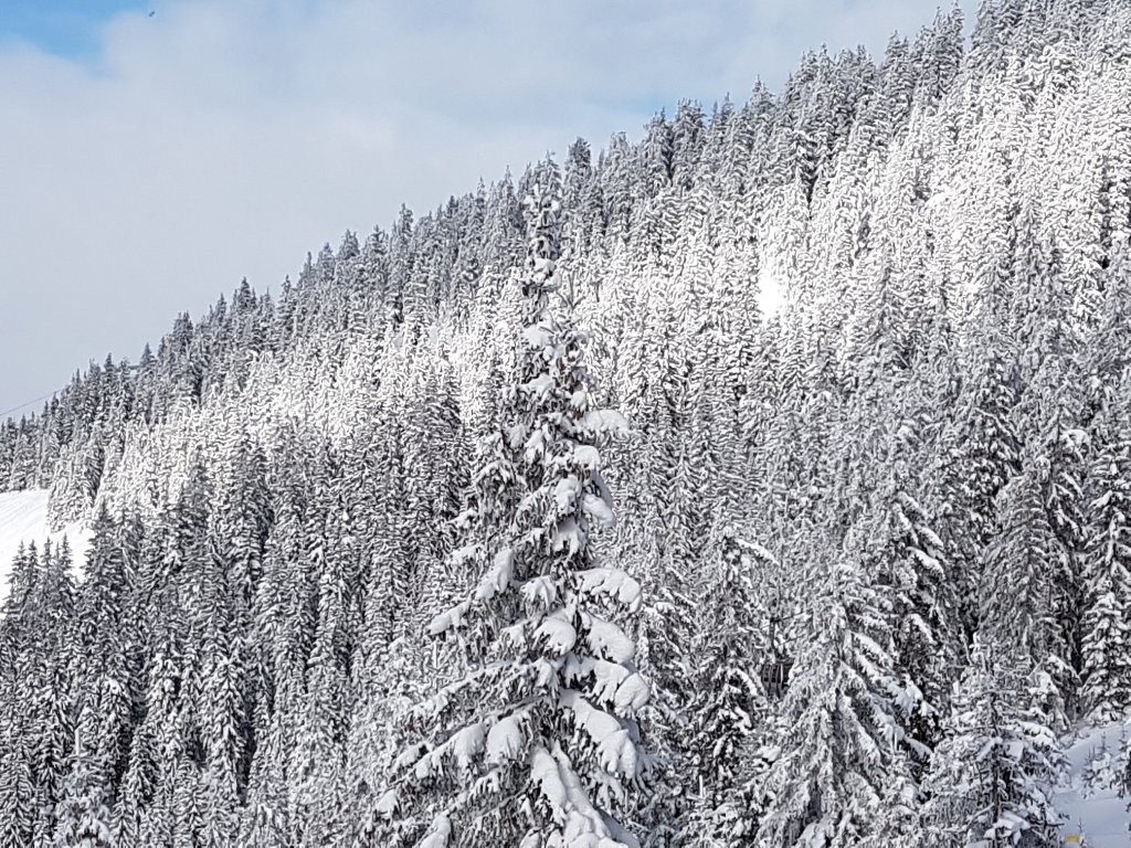 Ski Holiday 17