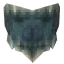 Carapace