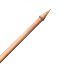 Wooden Spear