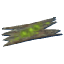 Ancient Bark