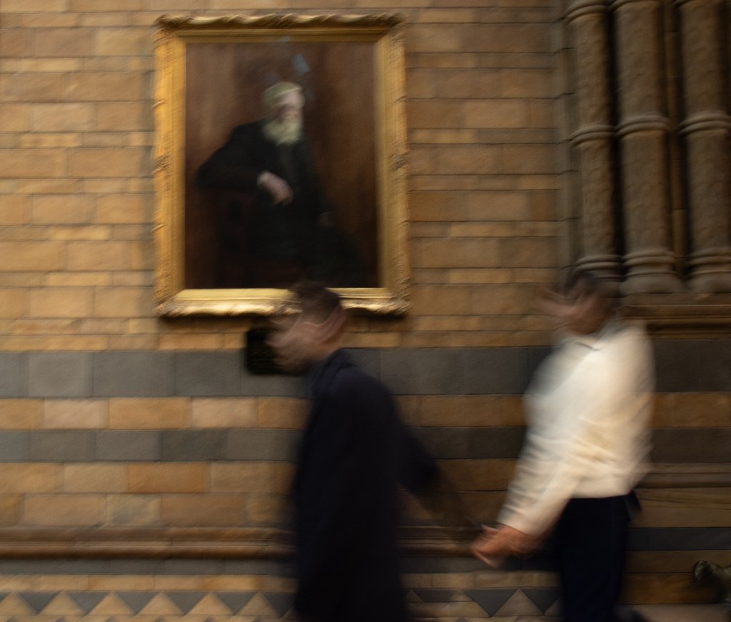 Couple walking past portrait in museum