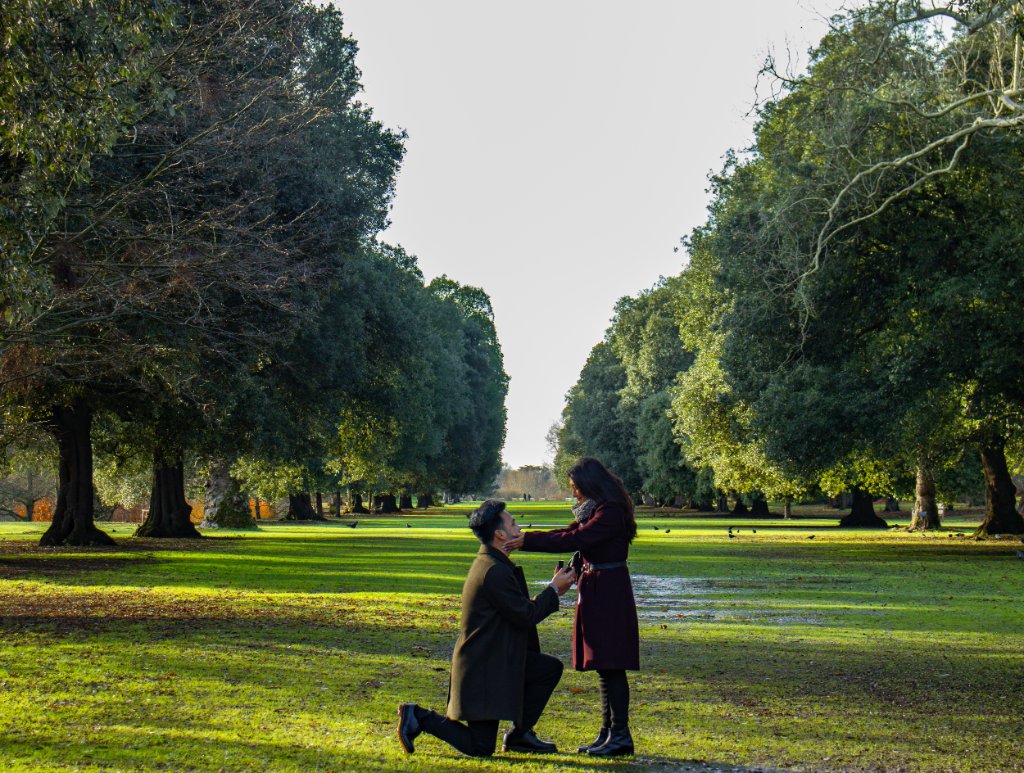 Proposal on one knee in the park