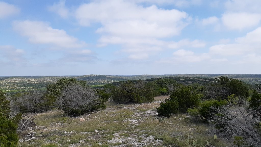 Open hilltop terrain with native brush and limestone outcropping