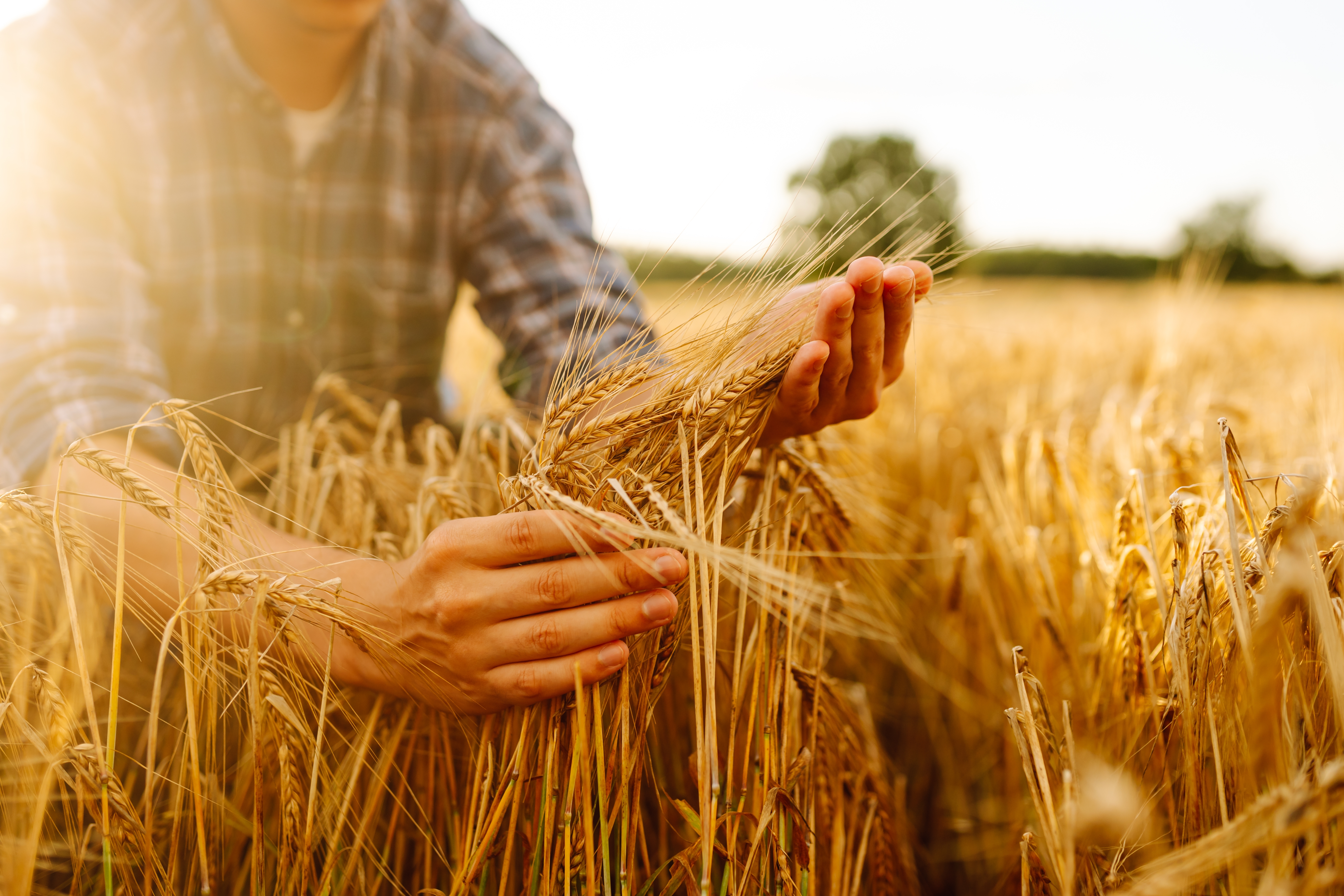 Only Farmers — farm days out and stays