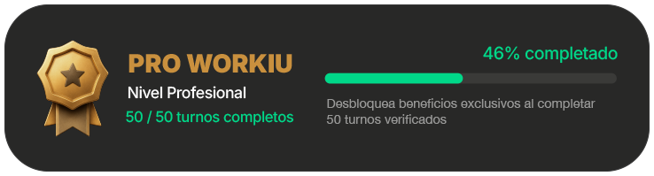 PRO WORKIU — Nivel Profesional