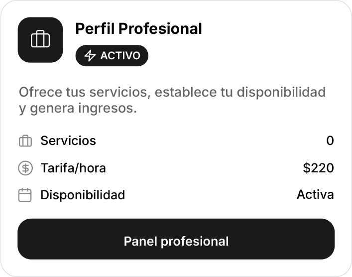 Perfil Profesional