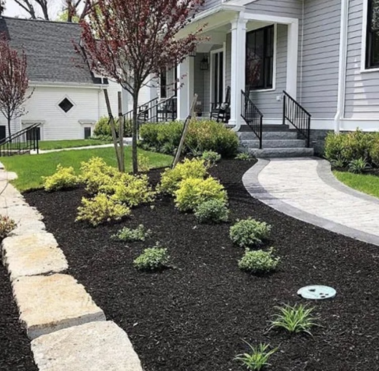 Front Yard Composition