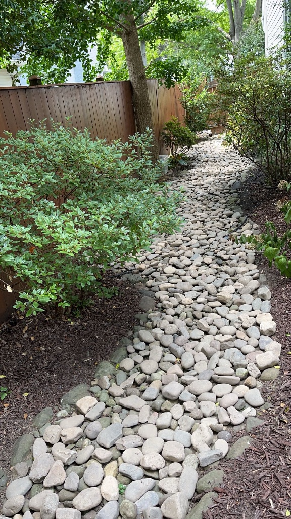 River Stone Path