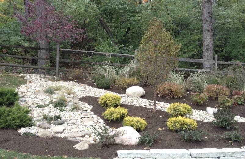 Rock Garden Composition