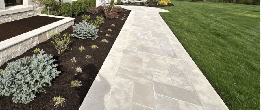 Stone Walkway & Conifers