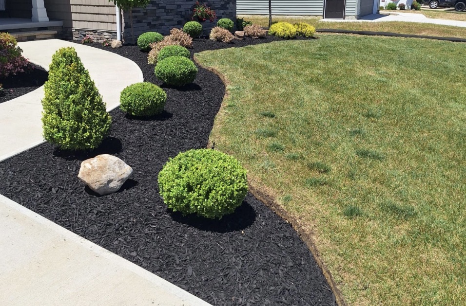 Curved Walkway Garden