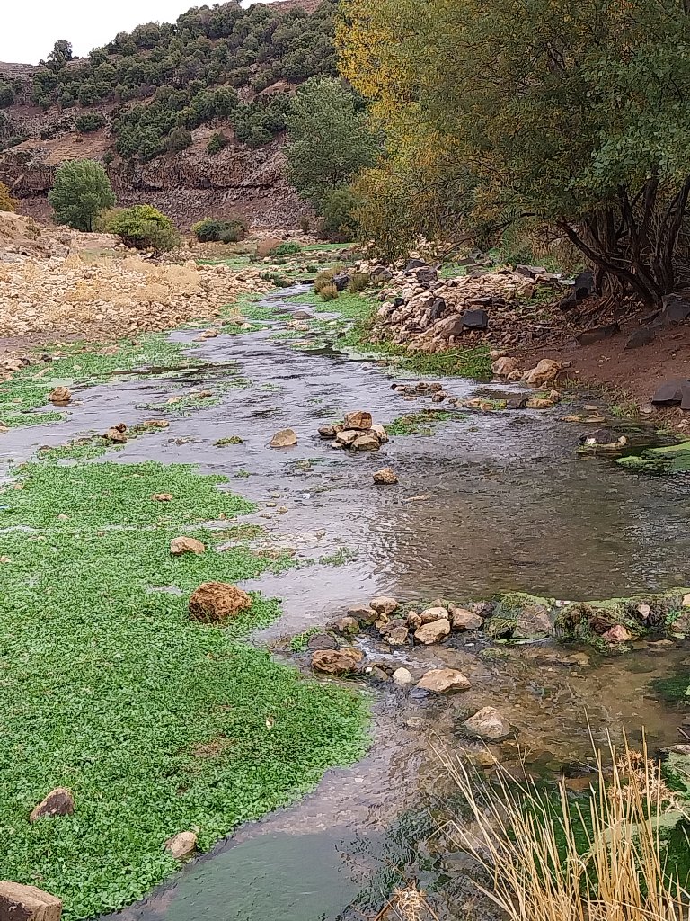 Paysage Naturel — Oued Atlas