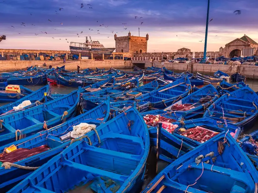 Essaouira Coastal Day Trip