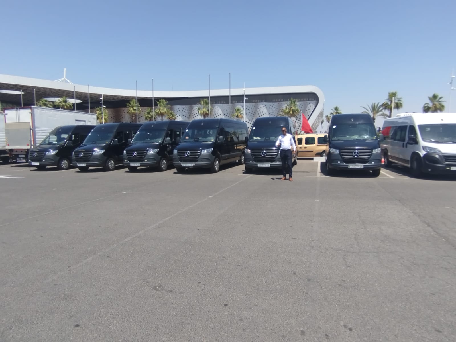 Fleet at Airport Terminal