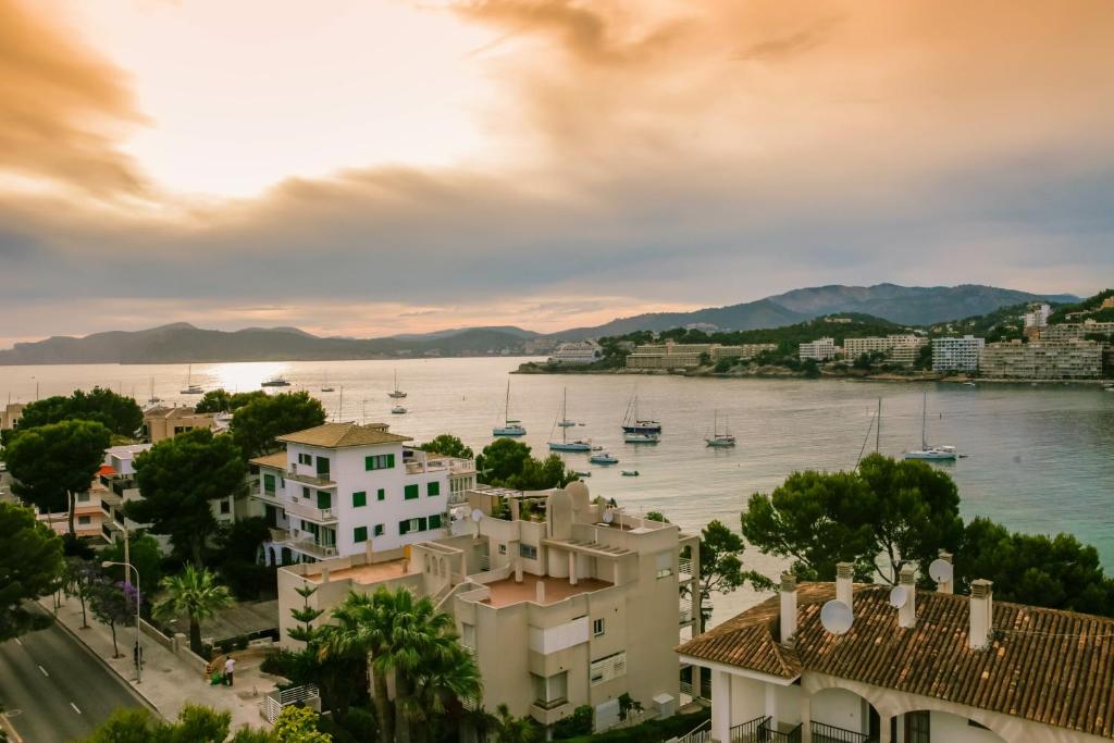 Mallorca 7