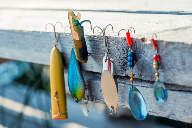 Lures & Baits