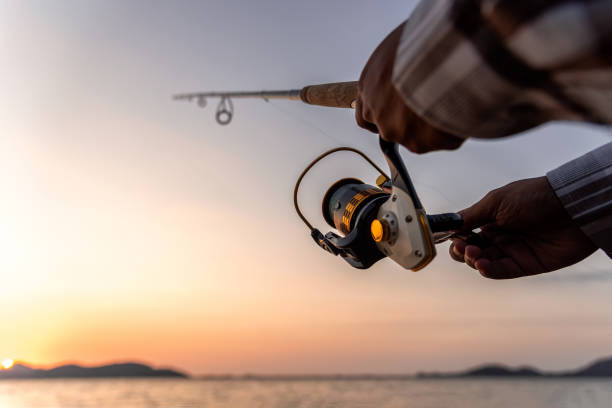 Rods & Reels