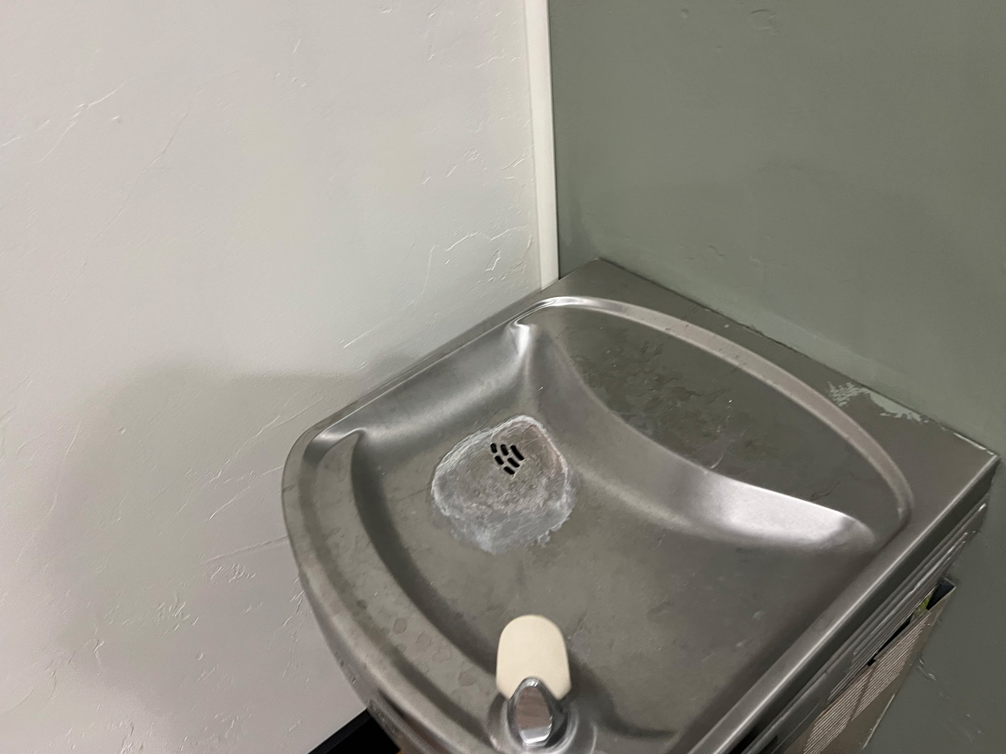Detail-cleaned Elkay water fountain