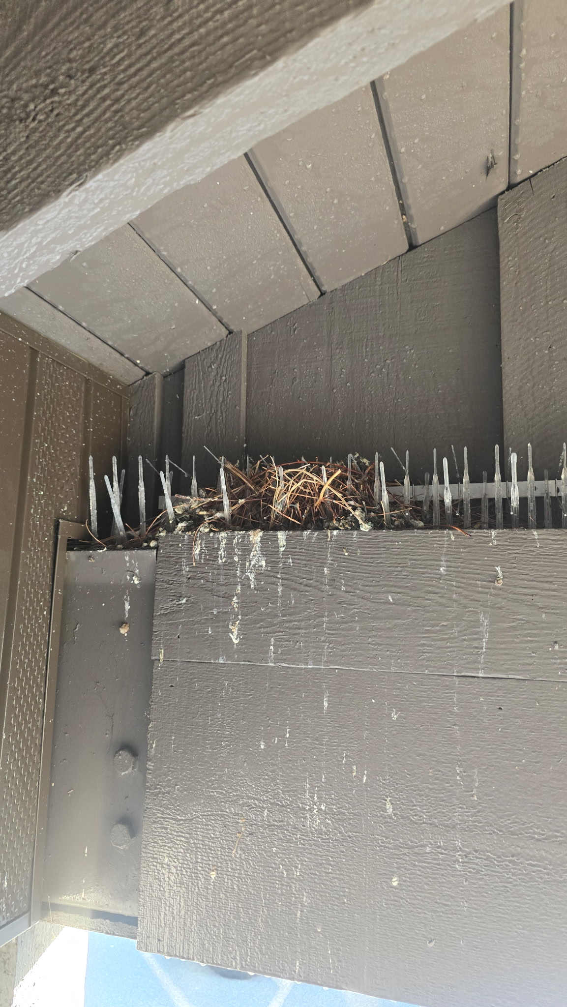 Exterior bird-deterrent cleanup