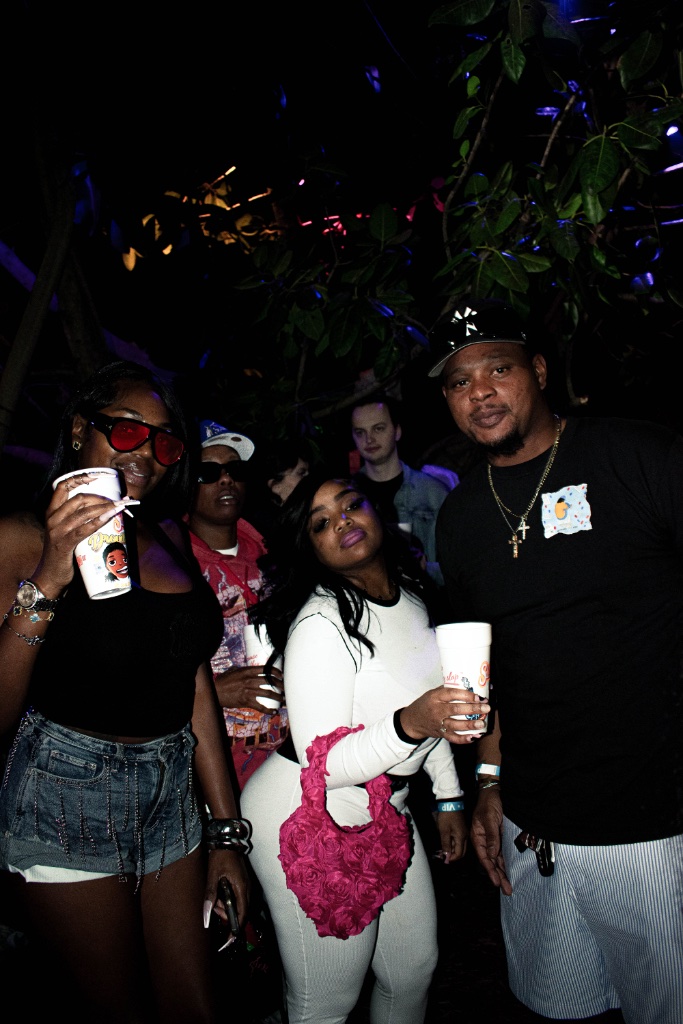 Droville festival attendees during the event