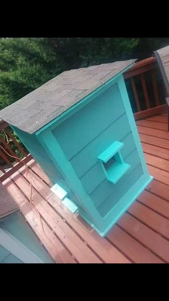 3-Story Cat House — Back View