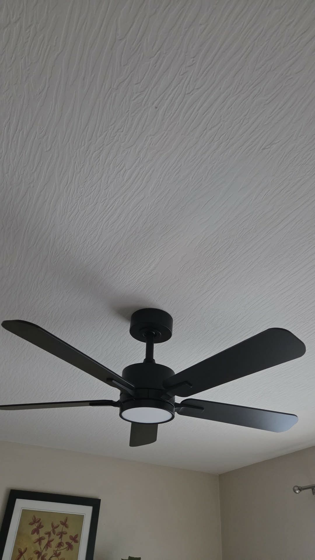 Matte Black Ceiling Fan with LED Light