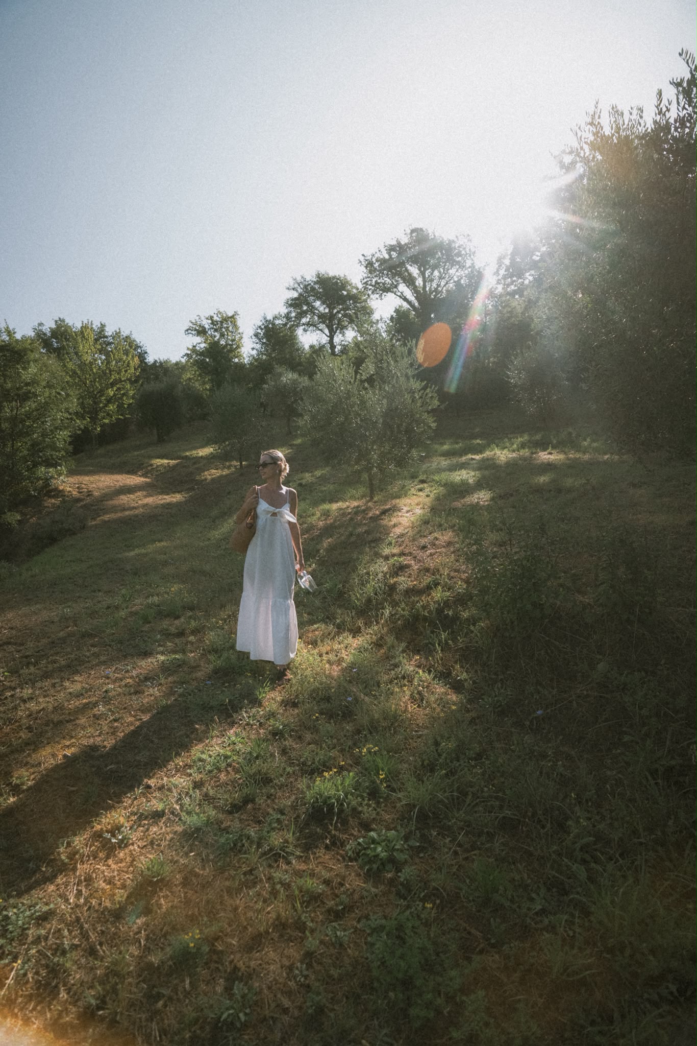 OLIVE_GROVE_WALK