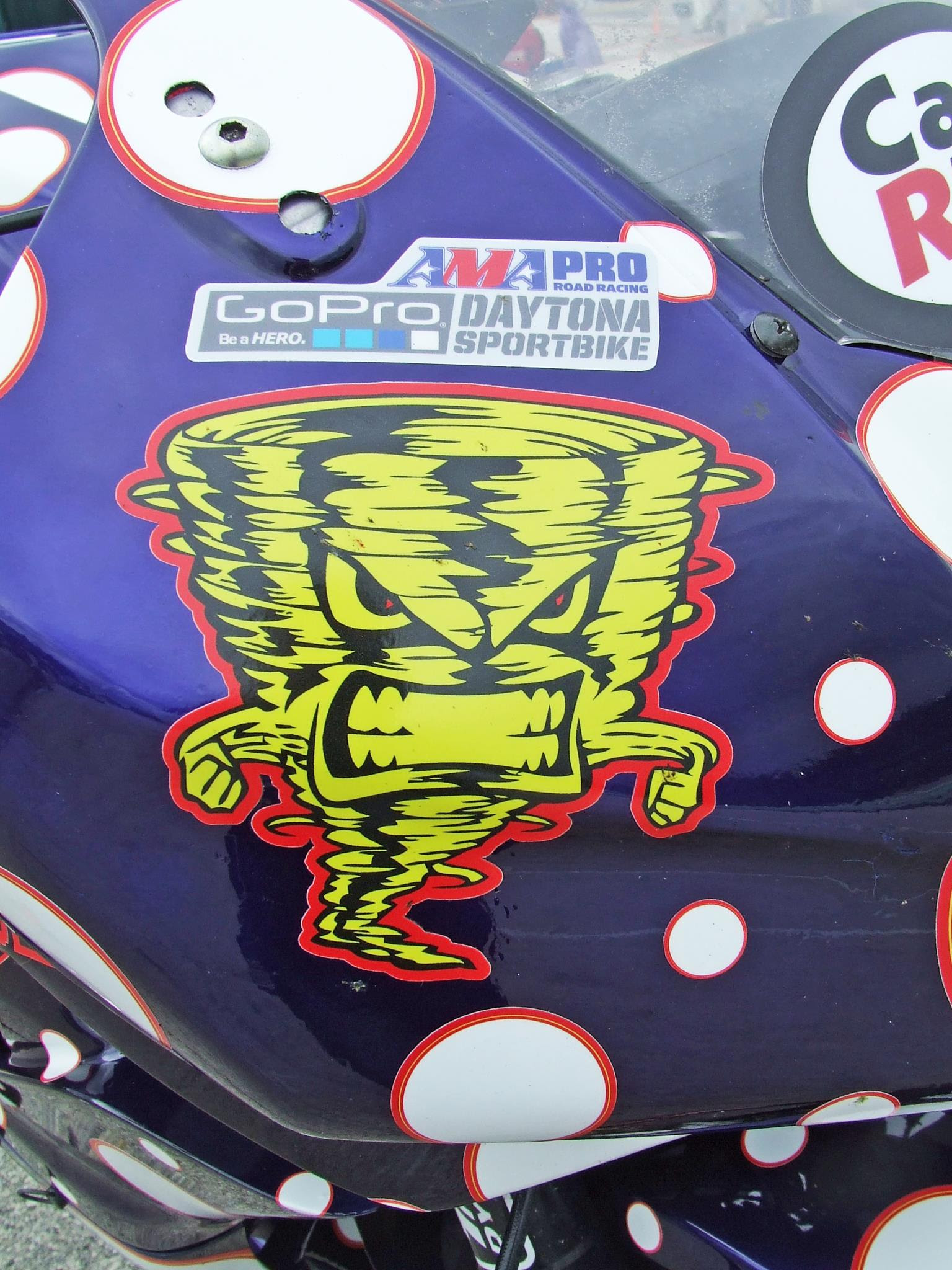 Ron Mears