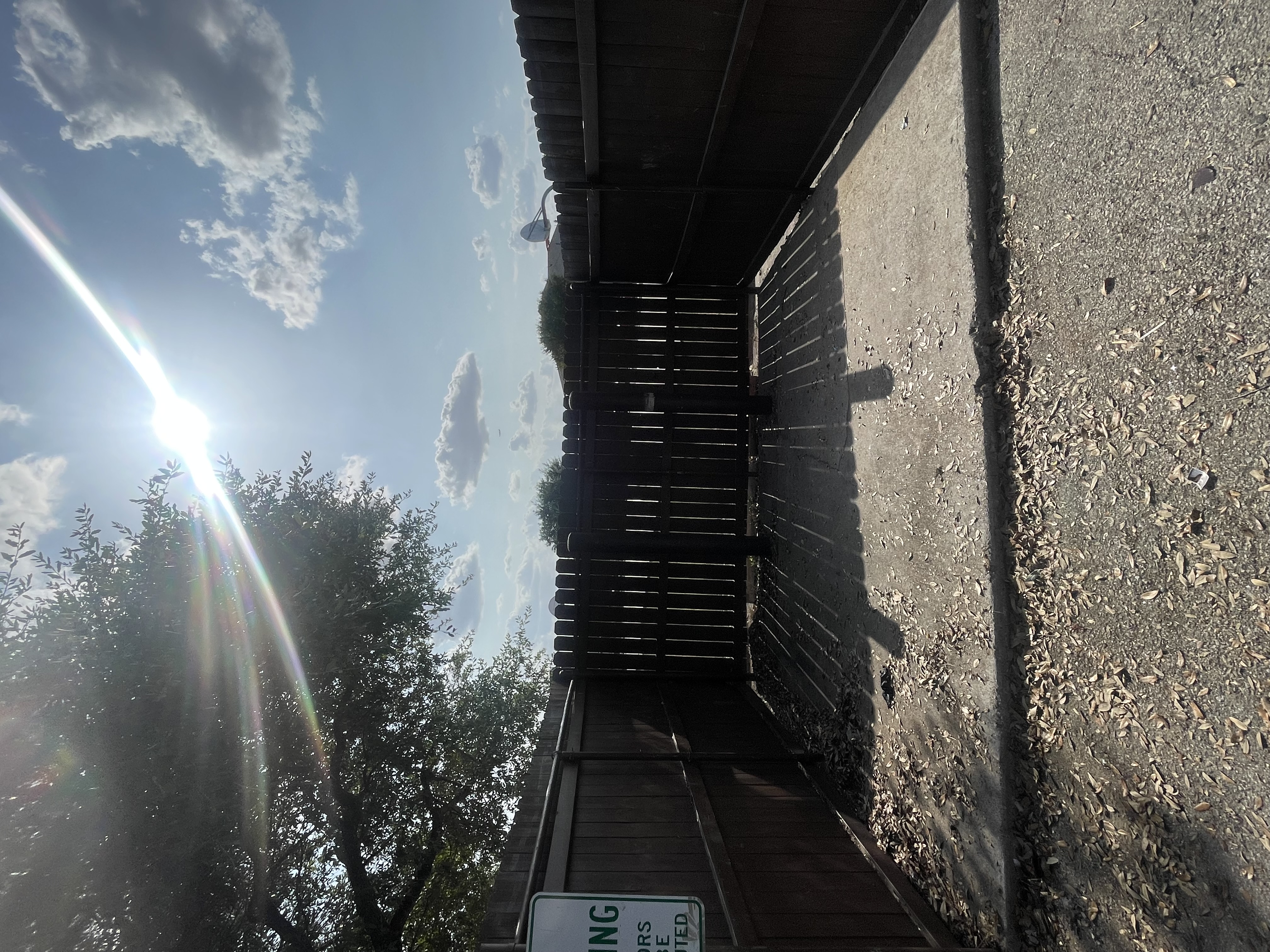 Apartment Dumpster Enclosure Cleanout