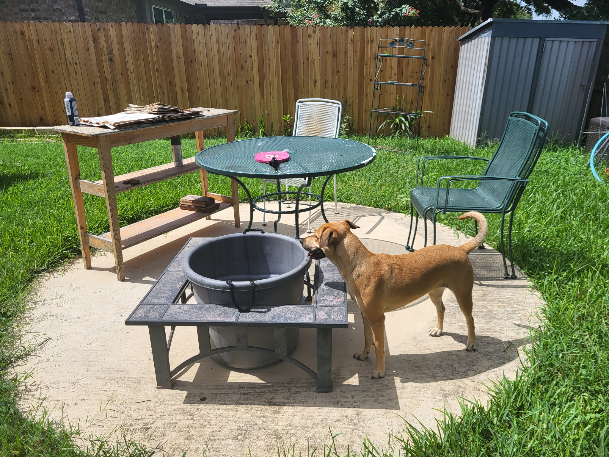 Backyard Concrete Pad & Yard Debris Cleanup before