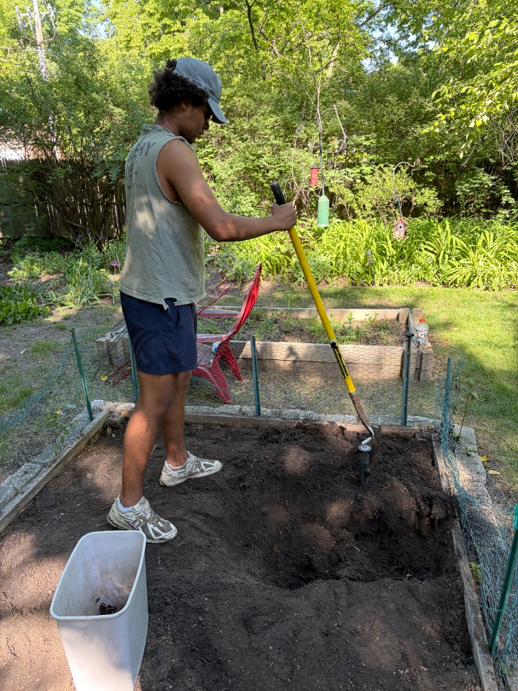 Crew tilling and cultivating a raised garden bed