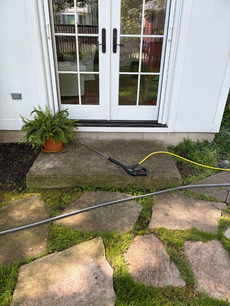 Before pressure washing โ dirty concrete step with moss, algae
