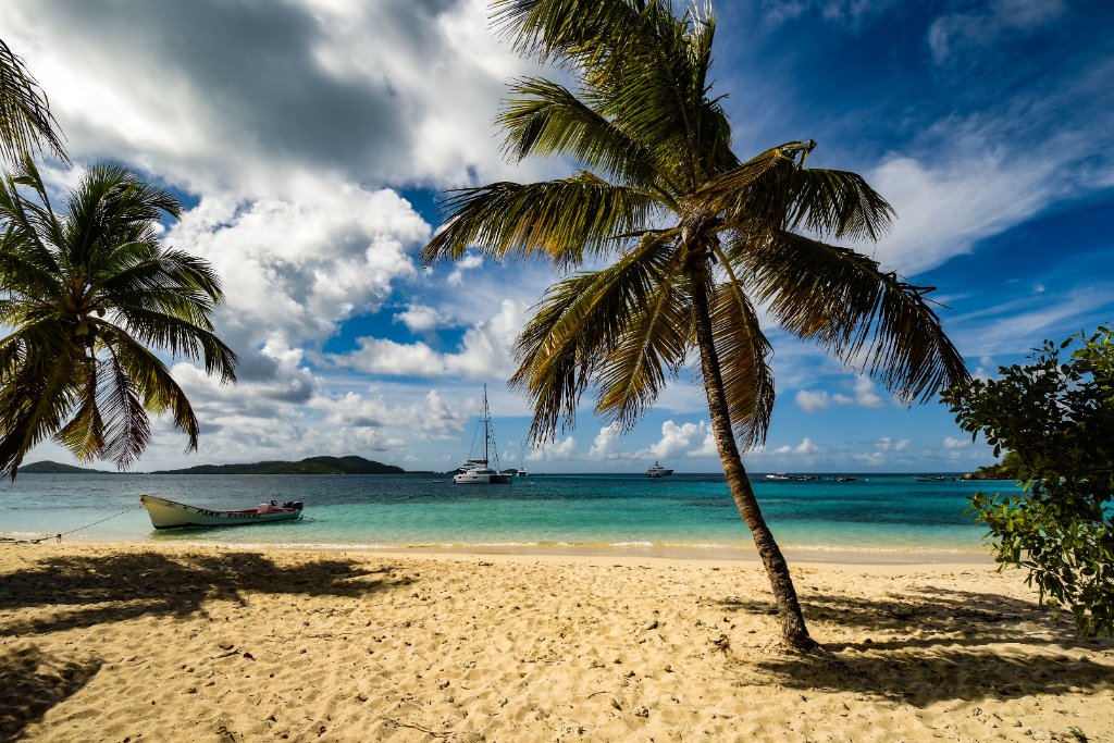 Beach Tobago Cays