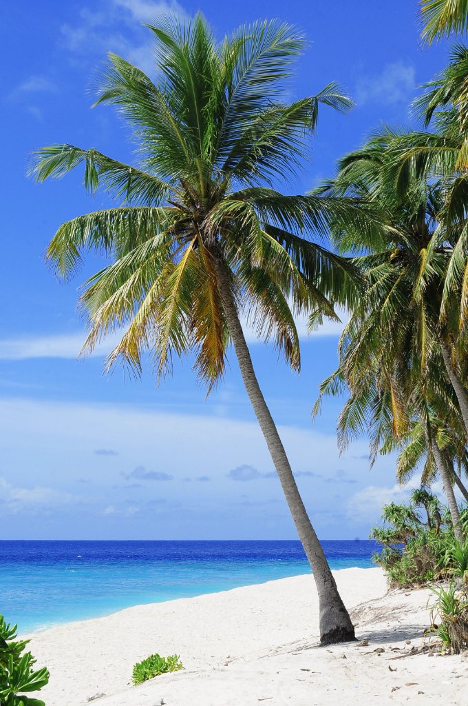 Beach Grenadines