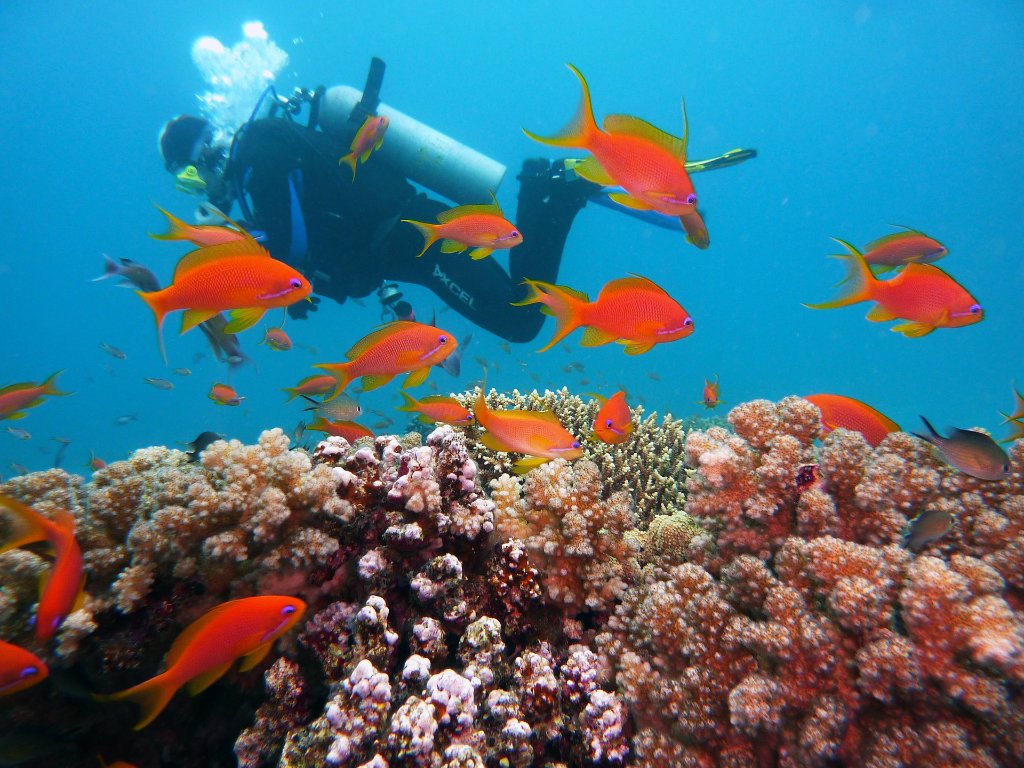 Belize & Cayman Islands