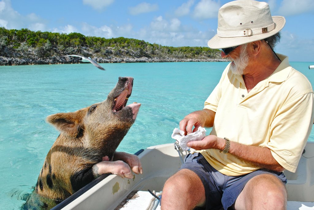 Sample Itinerary — Bahamas