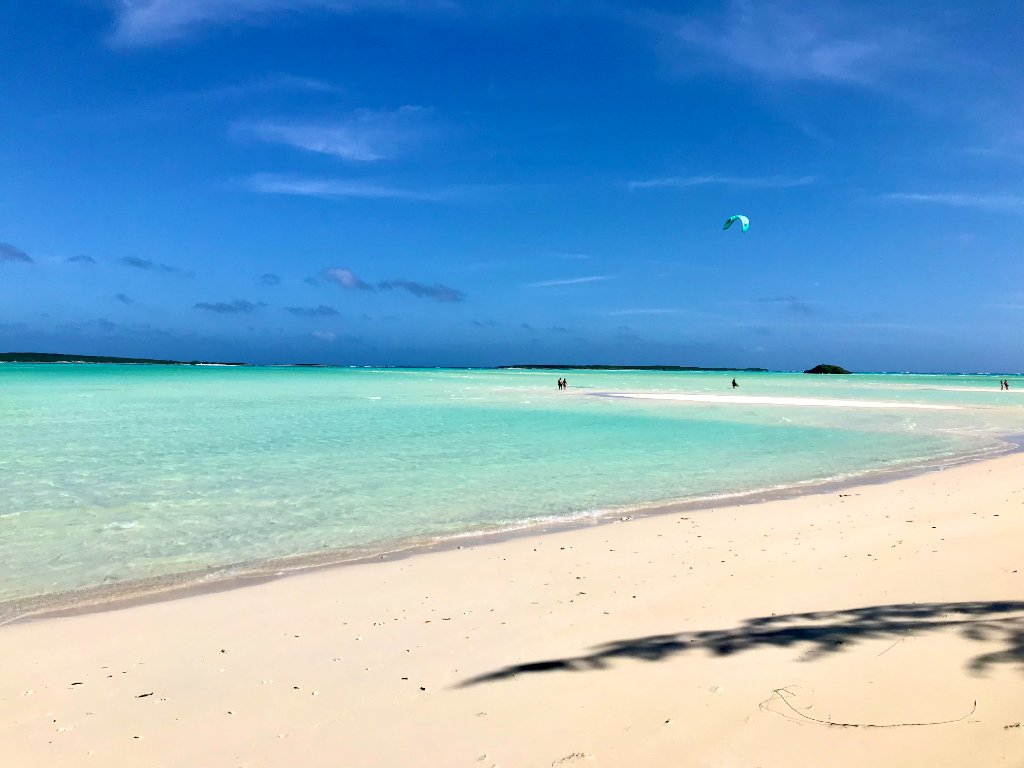 Beach Coco Plum