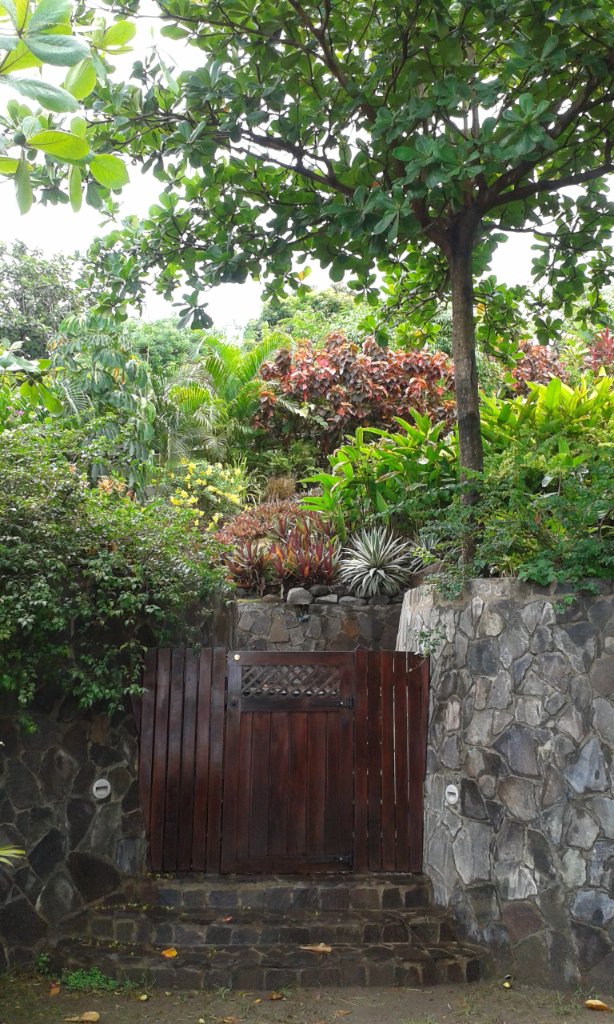 Grenadines