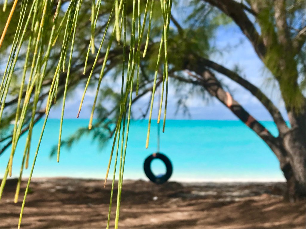 Great Exumas Tree