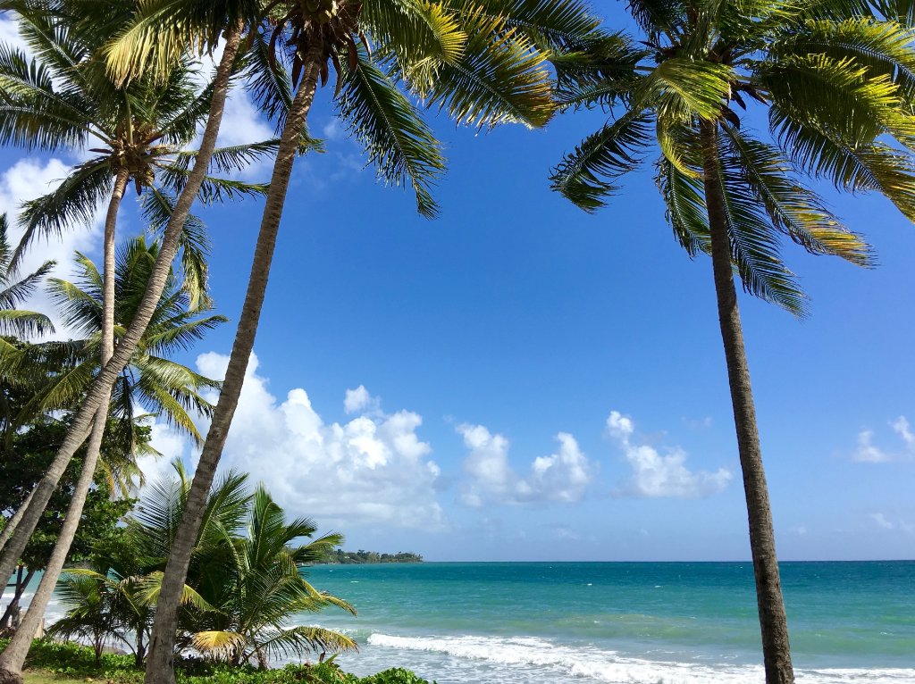 Grande Anse des Salines - Martinique