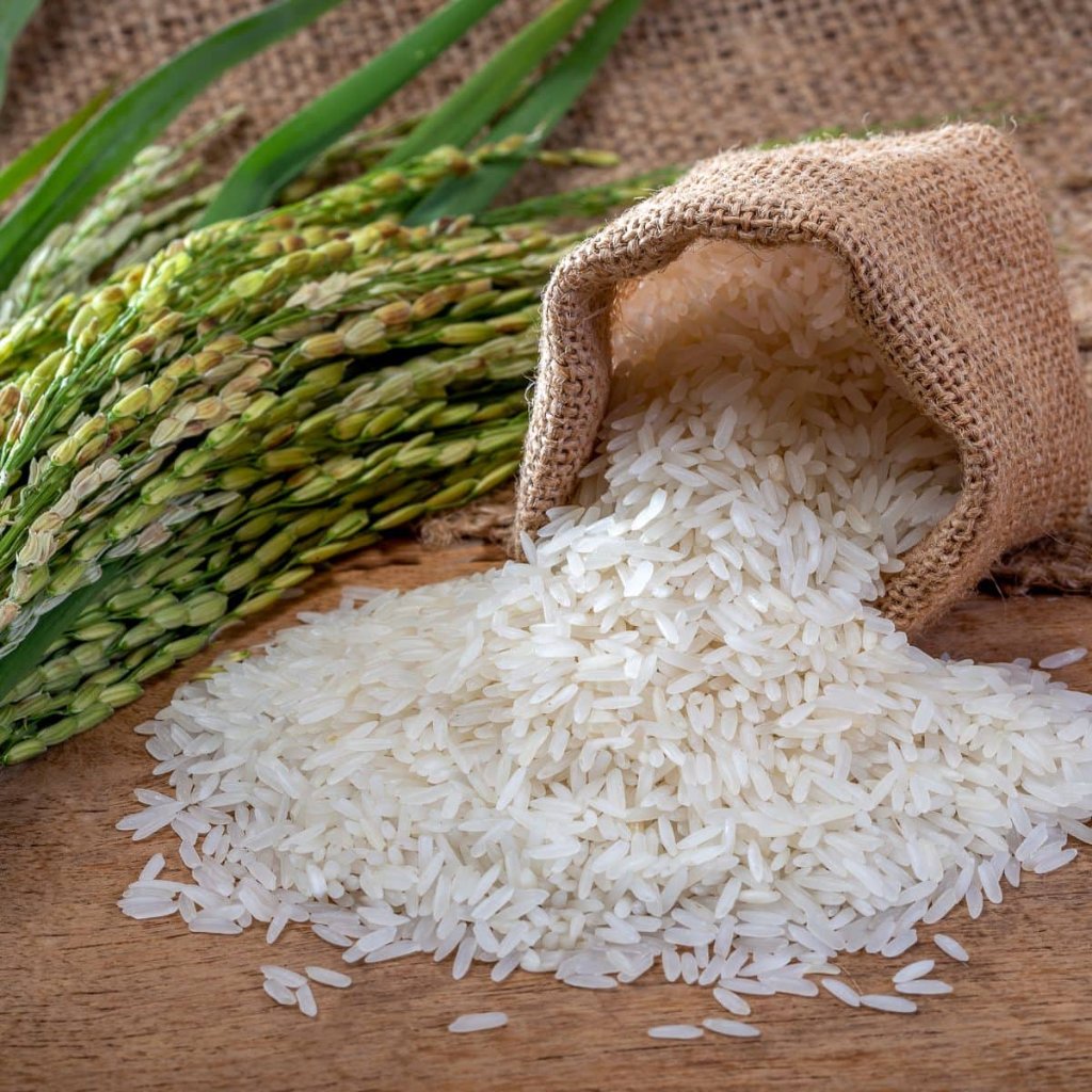 White rice grains spilling from a burlap sack with rice stalks