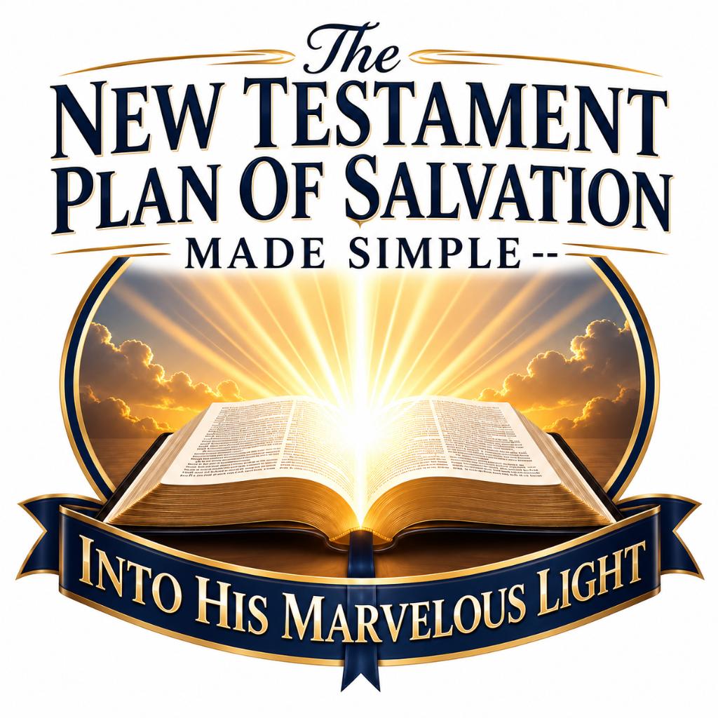 Into His Marvelous Light
