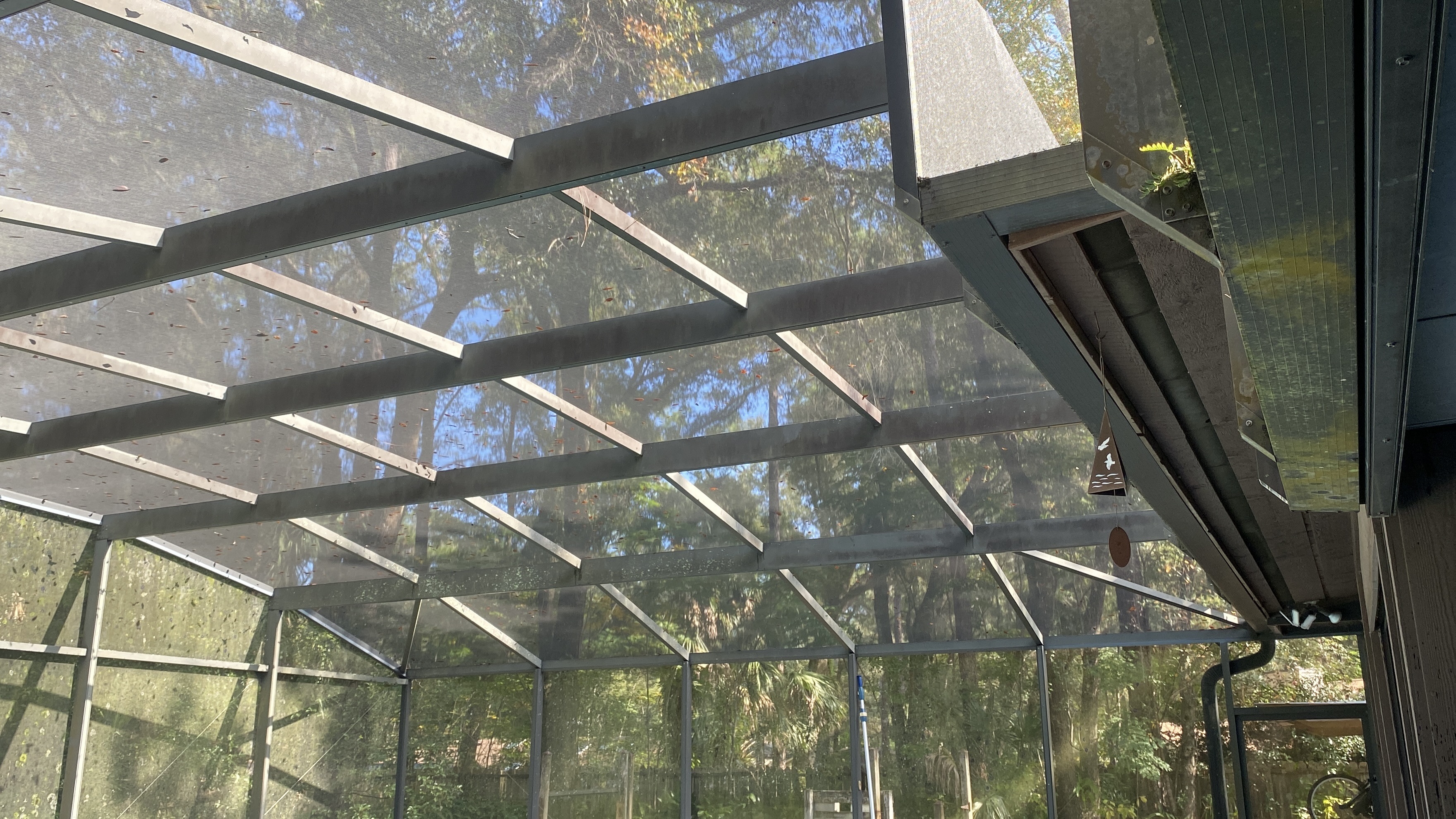 Overhead screen panels on a pool enclosure — example for pool screen repair service in Orlovista, FL